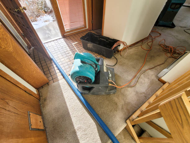 Best 24-hour water damage restoration  in Valley Mills, TX